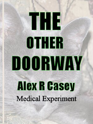 cover image of The Other Doorway